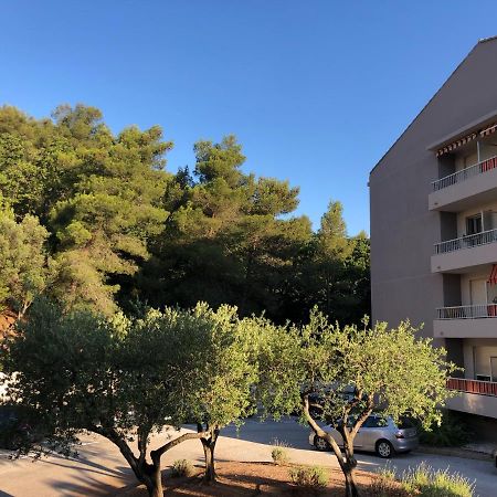 Grand Studio A Hyeres Entre Mer Et Ville Екстер'єр фото