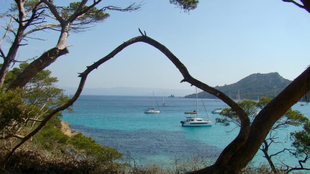 Grand Studio A Hyeres Entre Mer Et Ville Екстер'єр фото