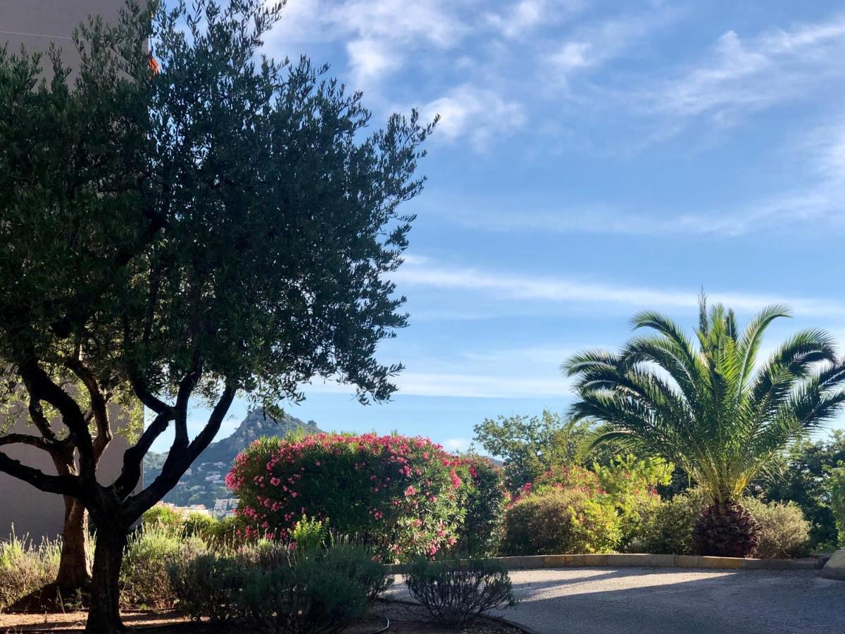 Grand Studio A Hyeres Entre Mer Et Ville Екстер'єр фото